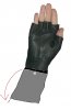 Glove.jpg