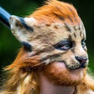 Thorcanine