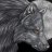 LRWerewolf