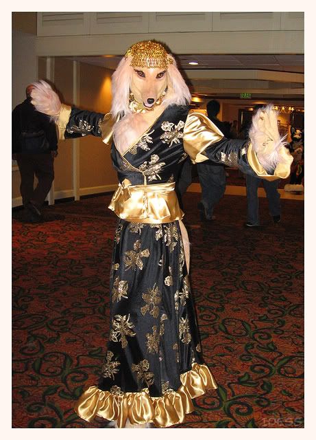 furcon2009001-1.jpg